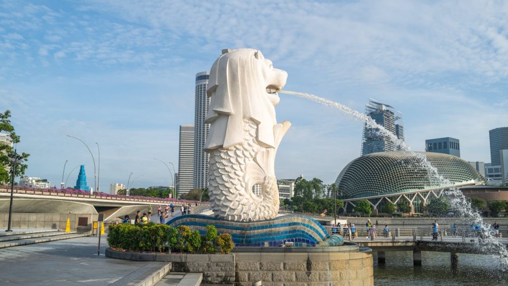 去新加坡开个公司？别忘了D&O责任保险！